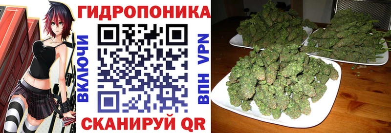 Где можно купить наркотики Азов Cocaine  Бошки Шишки  АМФ  Гашиш  Мефедрон  Альфа ПВП 